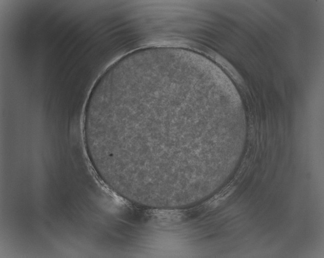X0000073430856200608181145