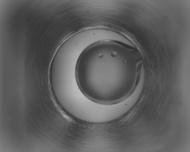 X0000073430858200608181145