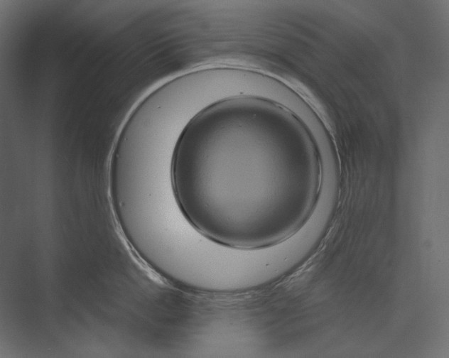 X0000073430862200608181145