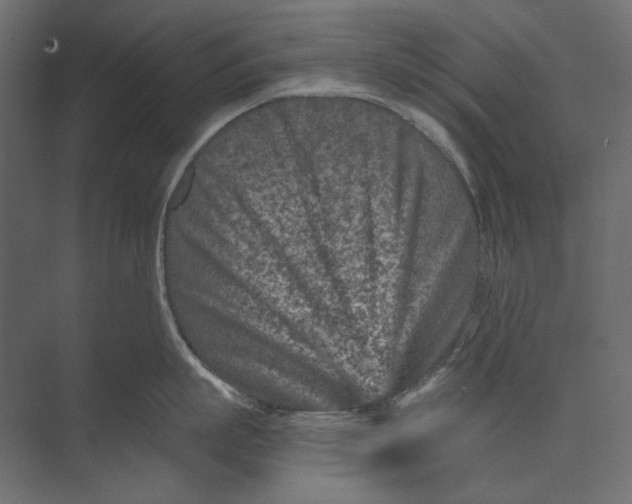 X0000073430863200608181145