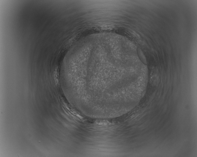 X0000073430866200608181144