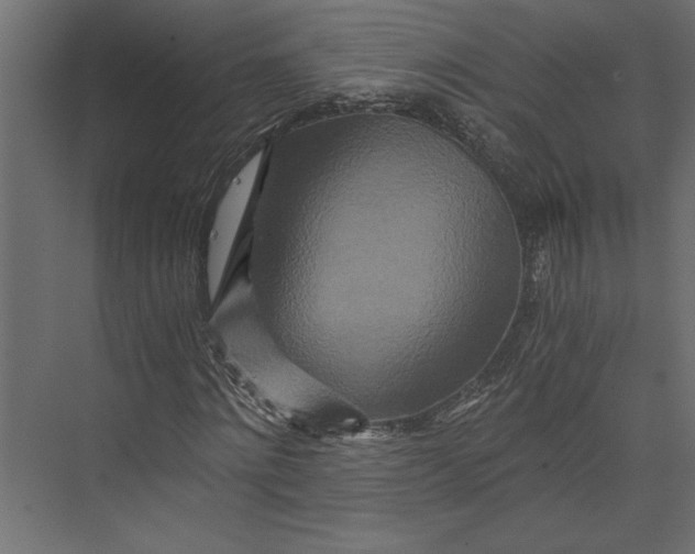 X0000073430868200608181144