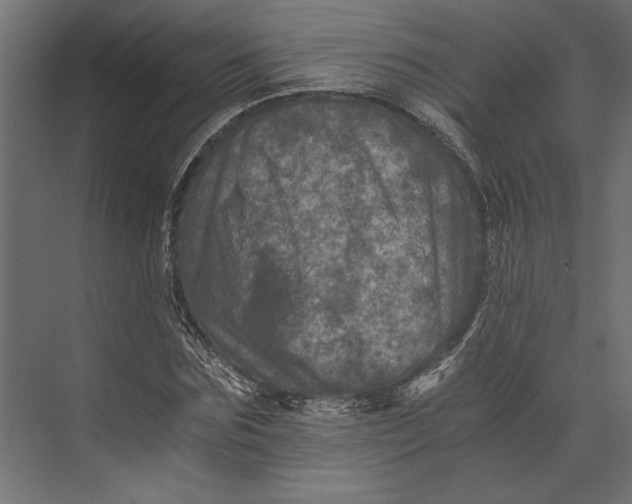 X0000073430875200608181144