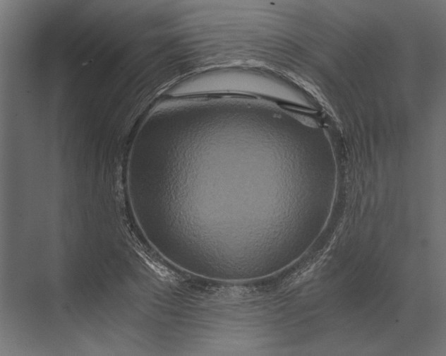 X0000073430881200608181144