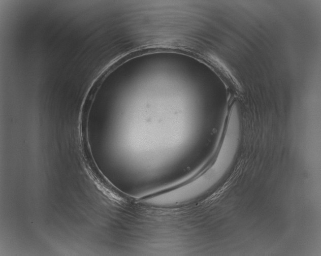 X0000073430884200608181144