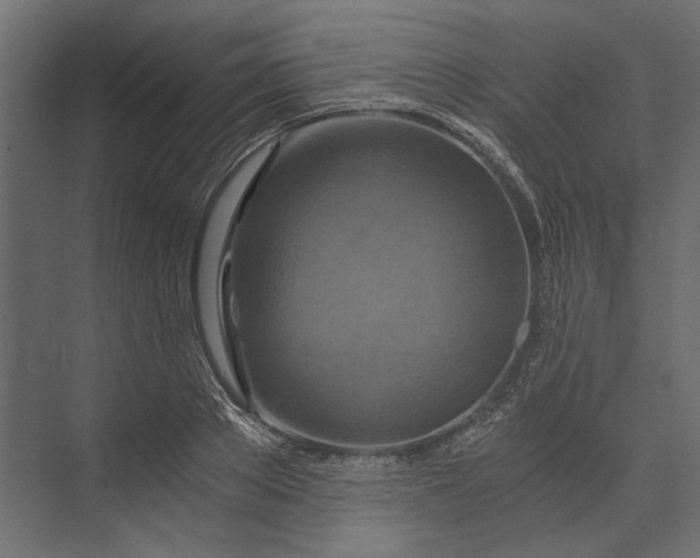 X0000073430889200608181144