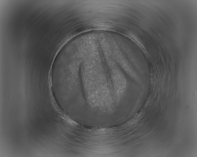 X0000073430891200608181144