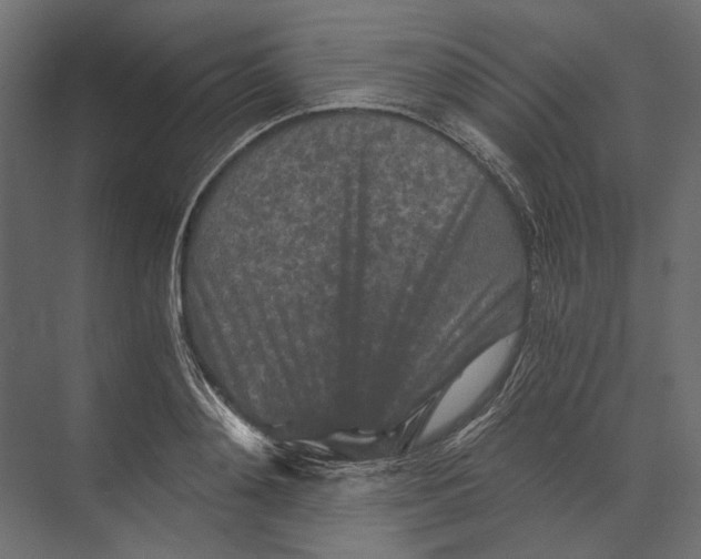 X0000073430892200608181144