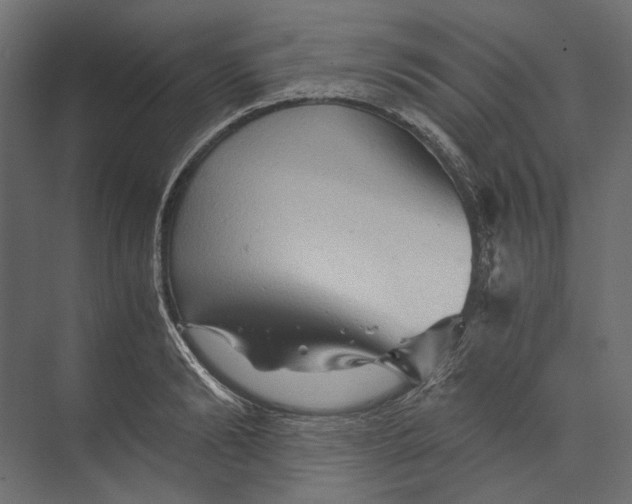 X0000073430894200608181144