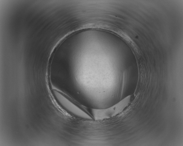 X0000073430896200608181144