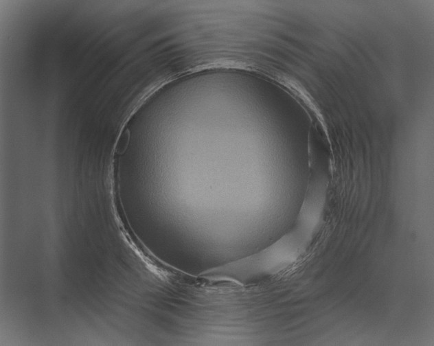 X0000073430898200608181144