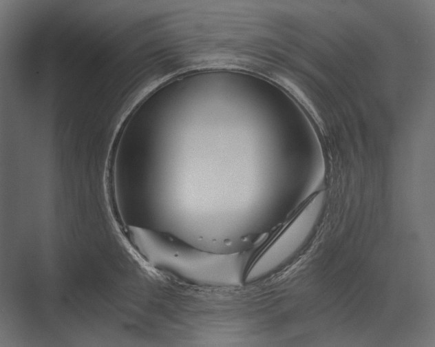 X0000073430901200608181144