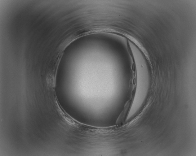 X0000073430905200608181144