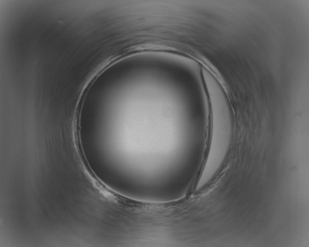 X0000073430909200608181144