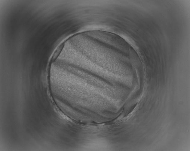 X0000073430912200608181143