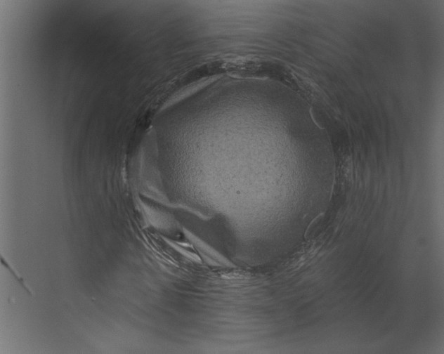 X0000073430914200608181143
