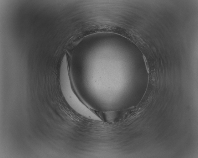 X0000073430916200608181143