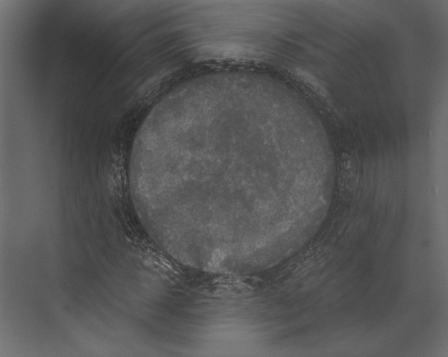 X0000073430918200608181143