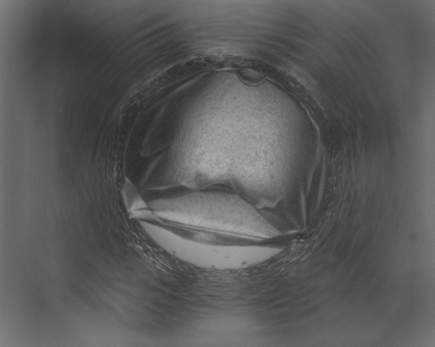 X0000073430919200608181143