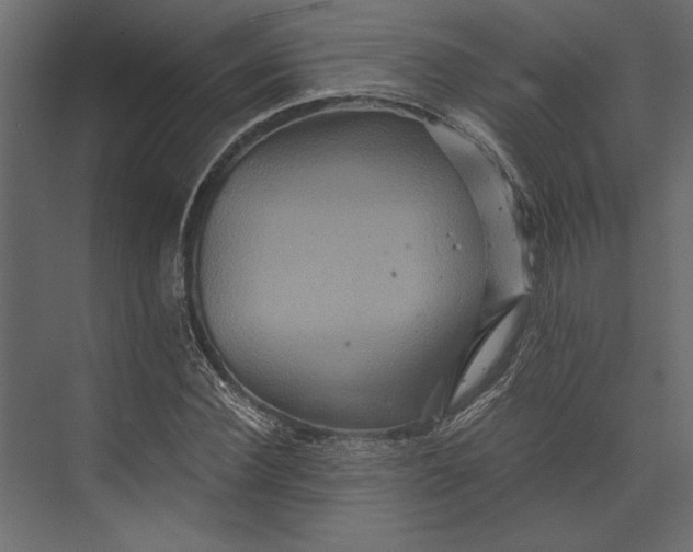X0000073430924200608181143