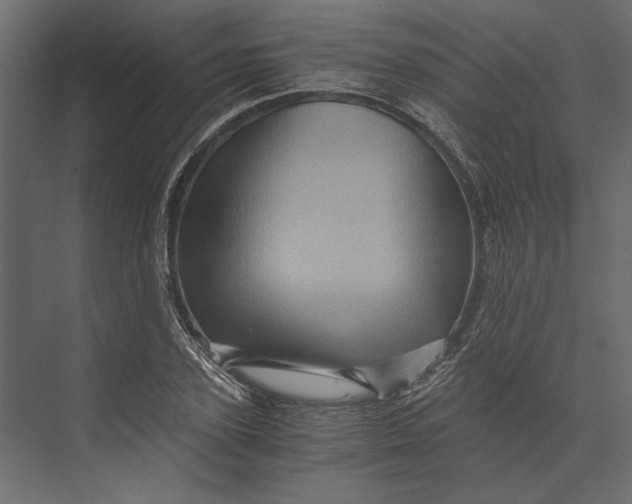 X0000073430931200608181143