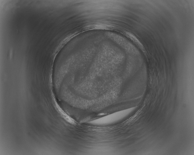 X0000073430938200608181143