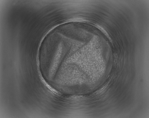 X0000073430939200608181143