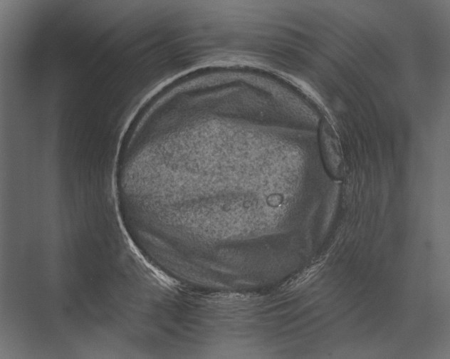 X0000073430943200608181143