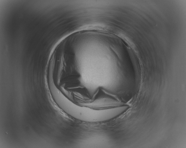 X0000073430960200608181143