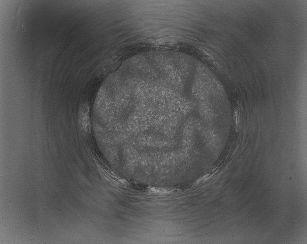 X0000073430963200608181143