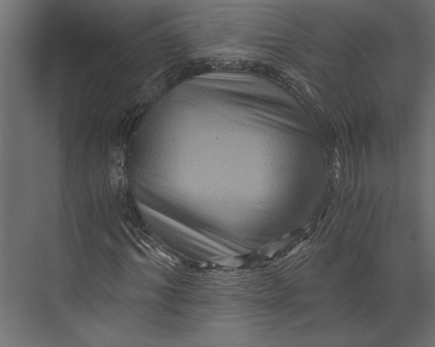 X0000073430964200608181143