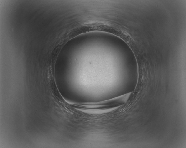 X0000073430965200608181143