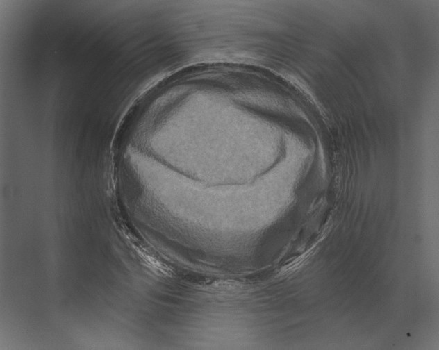 X0000073430974200608181142