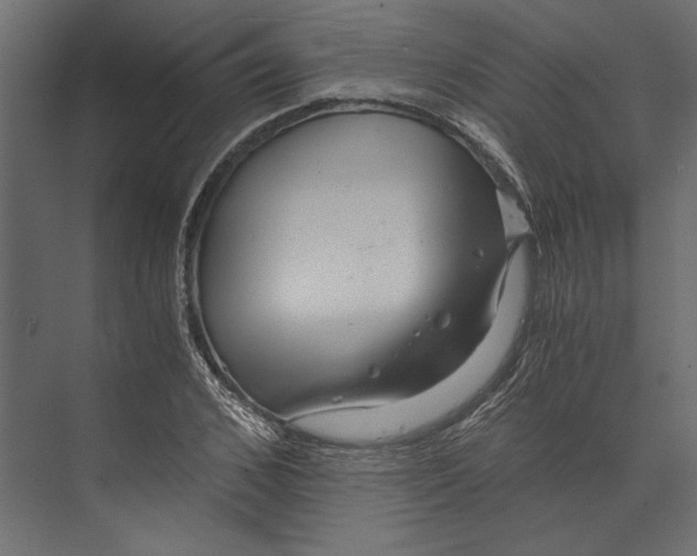 X0000073430976200608181142