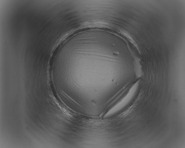 X0000073430978200608181142