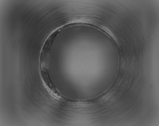 X0000073430980200608181142