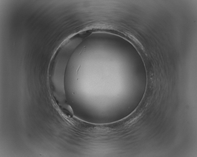 X0000073430981200608181142