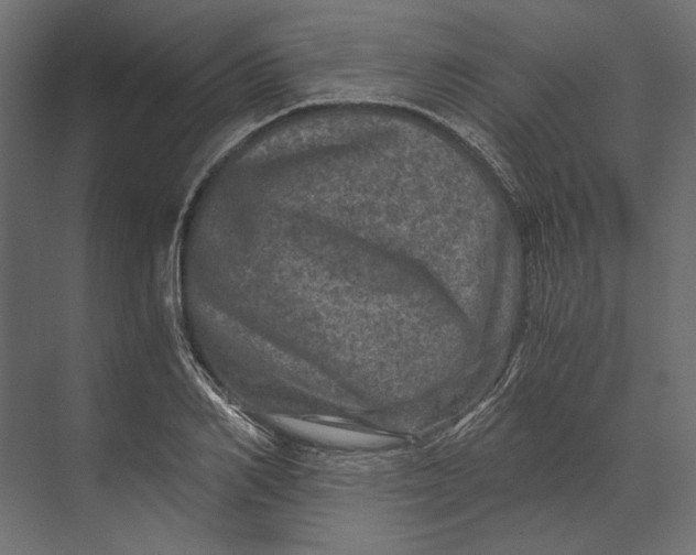 X0000073430982200608181142