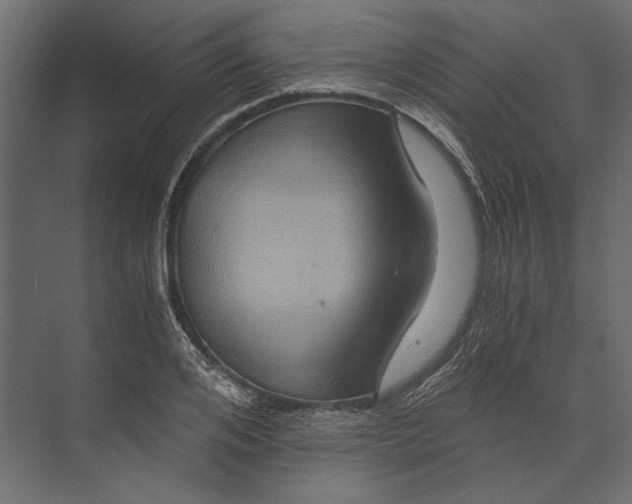 X0000073430984200608181142