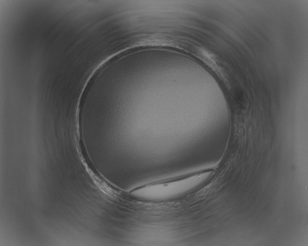 X0000073430988200608181142