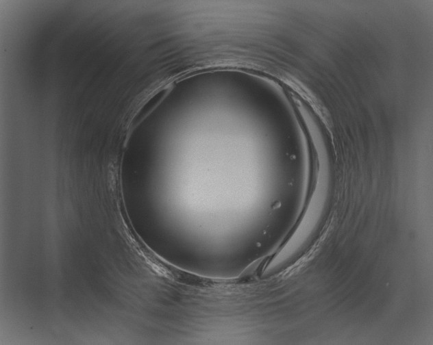X0000073430993200608181142