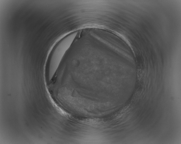 X0000073430995200608181142