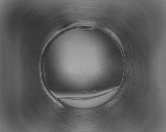 X0000073430997200608181142