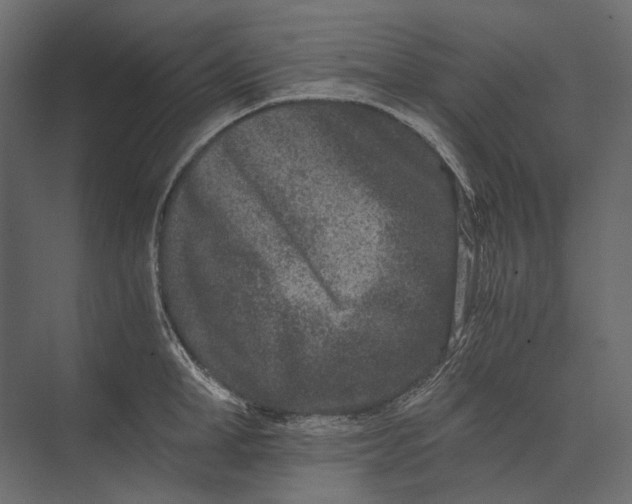 X0000073430998200608181142