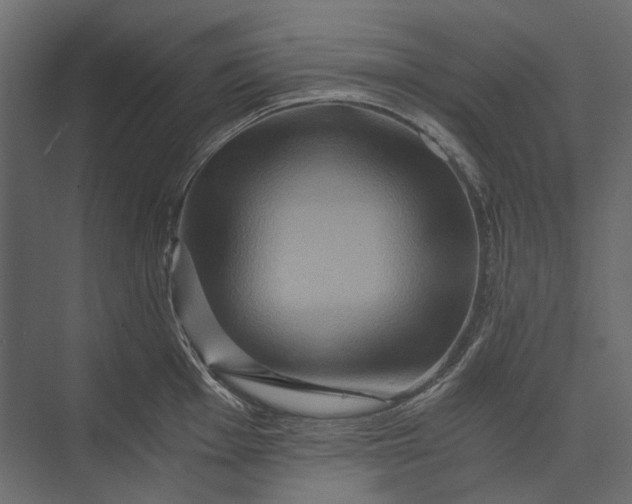 X0000073431001200608181142
