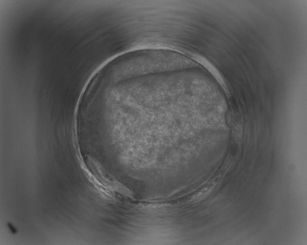 X0000073431004200608181142