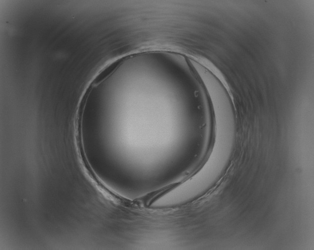X0000073431005200608181142