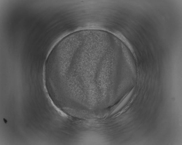 X0000073431006200608181142