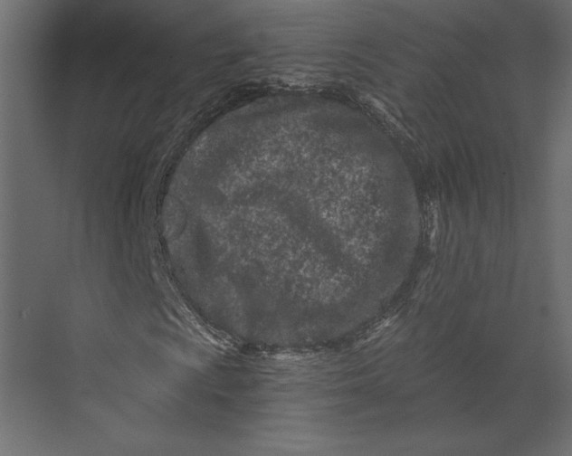 X0000073431009200608181141