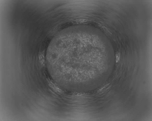 X0000073431011200608181141